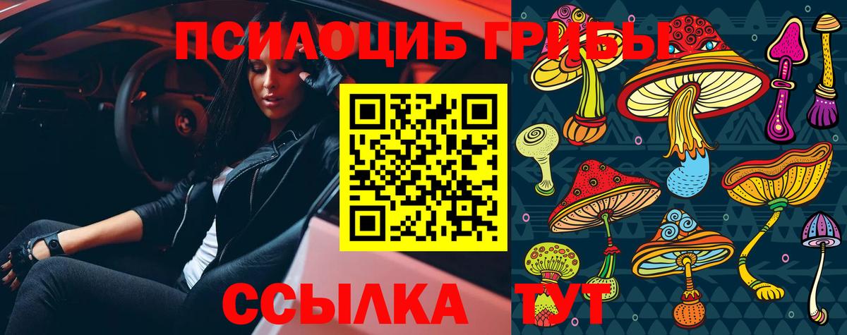 Галлюциногенные грибы MAGIC MUSHROOMS Алексеевка