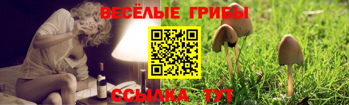 Псилоцибиновые грибы прущие грибы  Вход с VPN  Галлюциногенные грибы прущие грибы  Алексеевка 